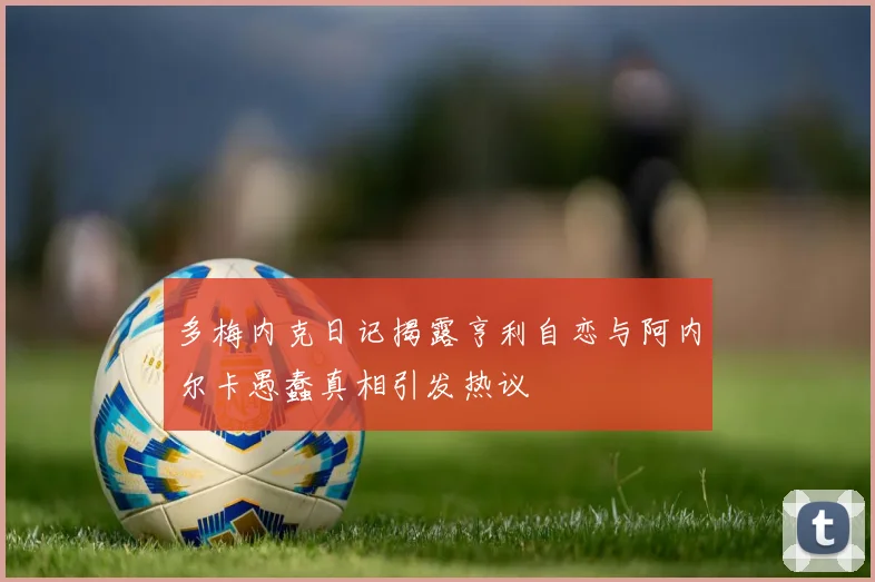 多梅内克日记揭露亨利自恋与阿内尔卡愚蠢真相引发热议